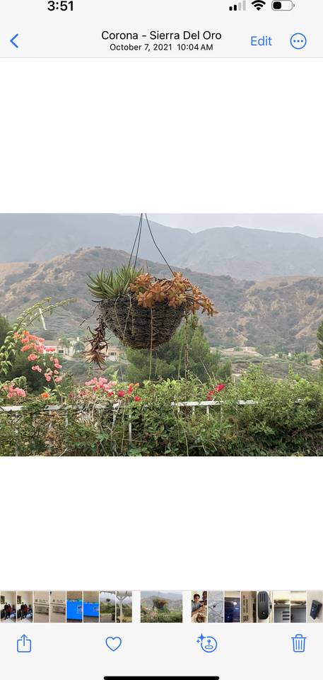 3350 Deaver Dr #NA - Photo 2 of 19