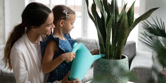 COAST Real Estates Services 3 of 4