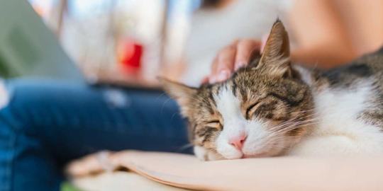 COAST Real Estates Services 3 of 4