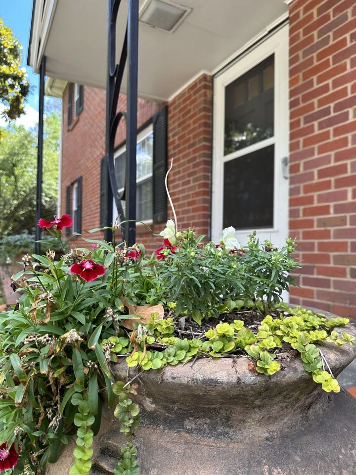 120 Cox Ave #6 - Photo 5 of 5