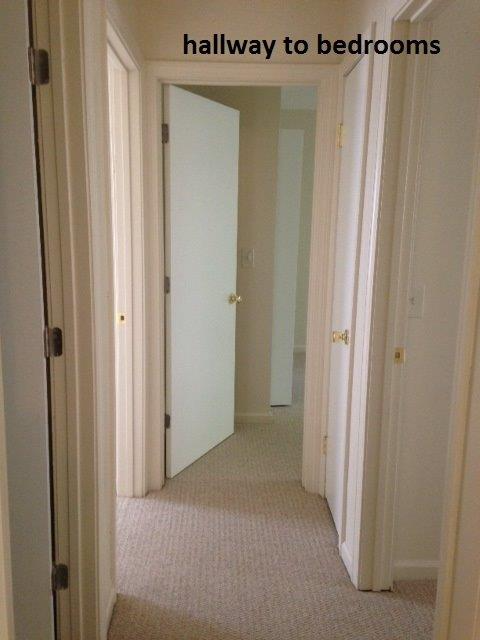 250 Fairmont Ave, New Haven, Ct 06513, Usa #250 - Photo 3 of 11