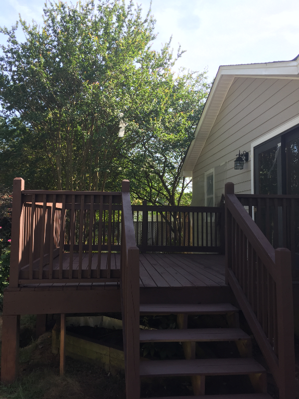 4633 Murrayhill Rd - Photo 3 of 16