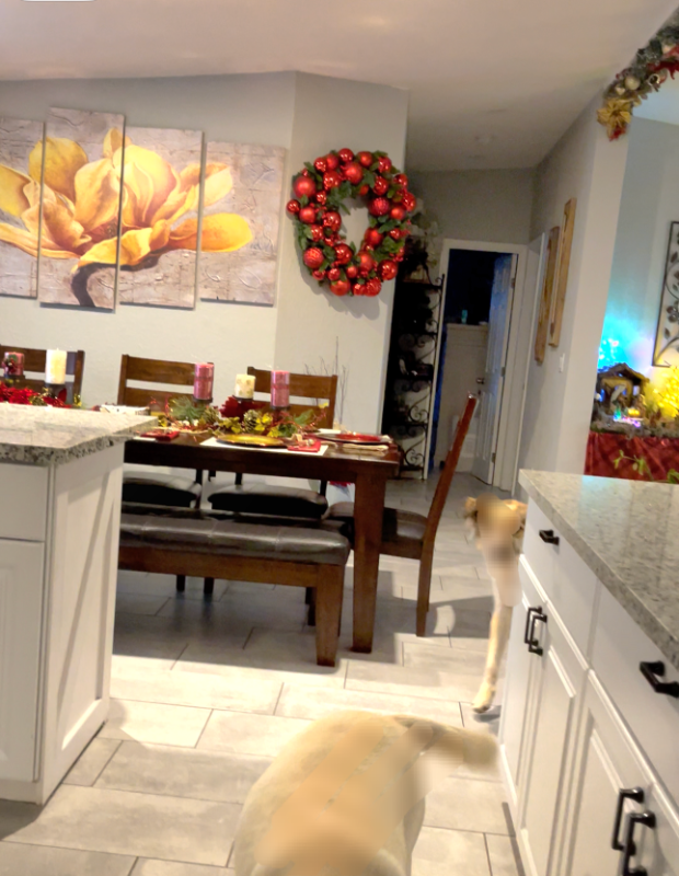 393 W 4th Ave #393W4thAVE - Photo 2 of 12