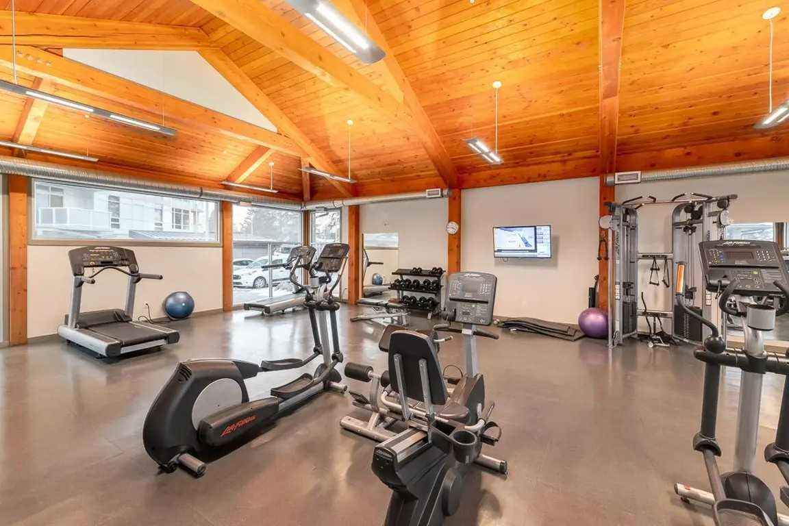 Elata - Photo 3 of 50