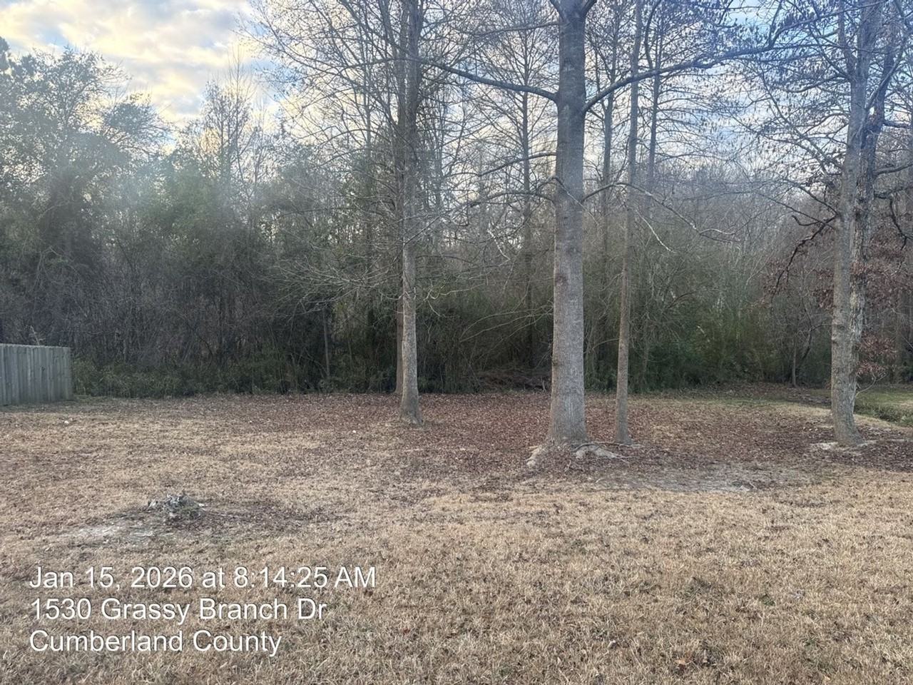 1530 Grassy Branch Dr - Photo 3 of 29