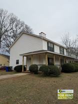 Pointer Ln 03 - Photo 1 of 1