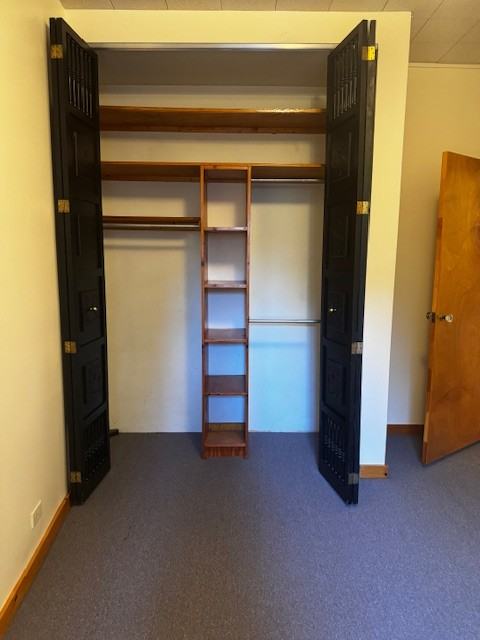 629 Bainbridge Street - Photo 6 of 17