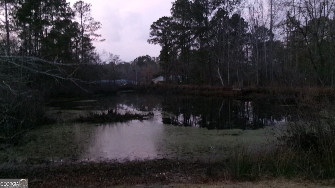 17827 Ga Highway 129 N - Photo 3 of 20