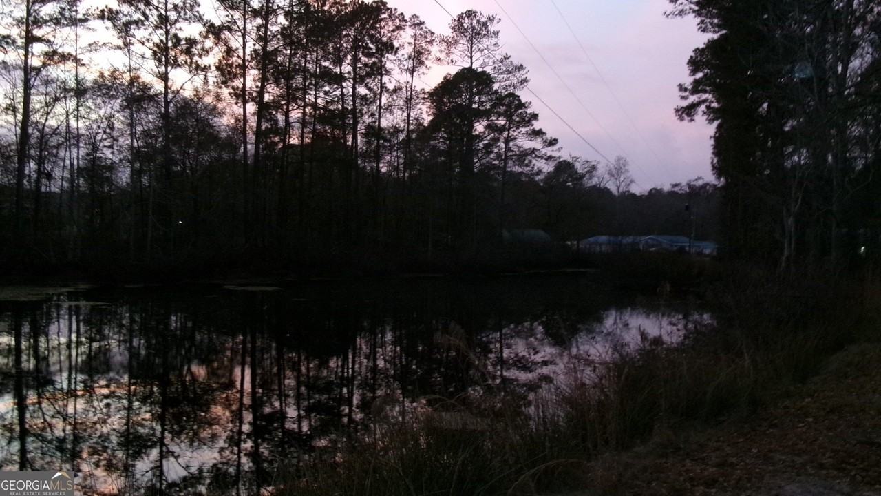 17827 Ga Highway 129 N - Photo 4 of 20