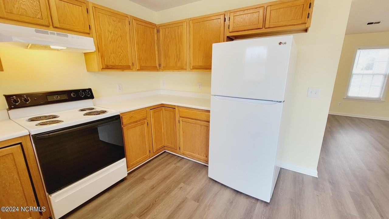 703 Nut Bush Ct - Photo 4 of 23