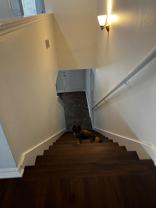 Branding Fld - Photo 1 of 1