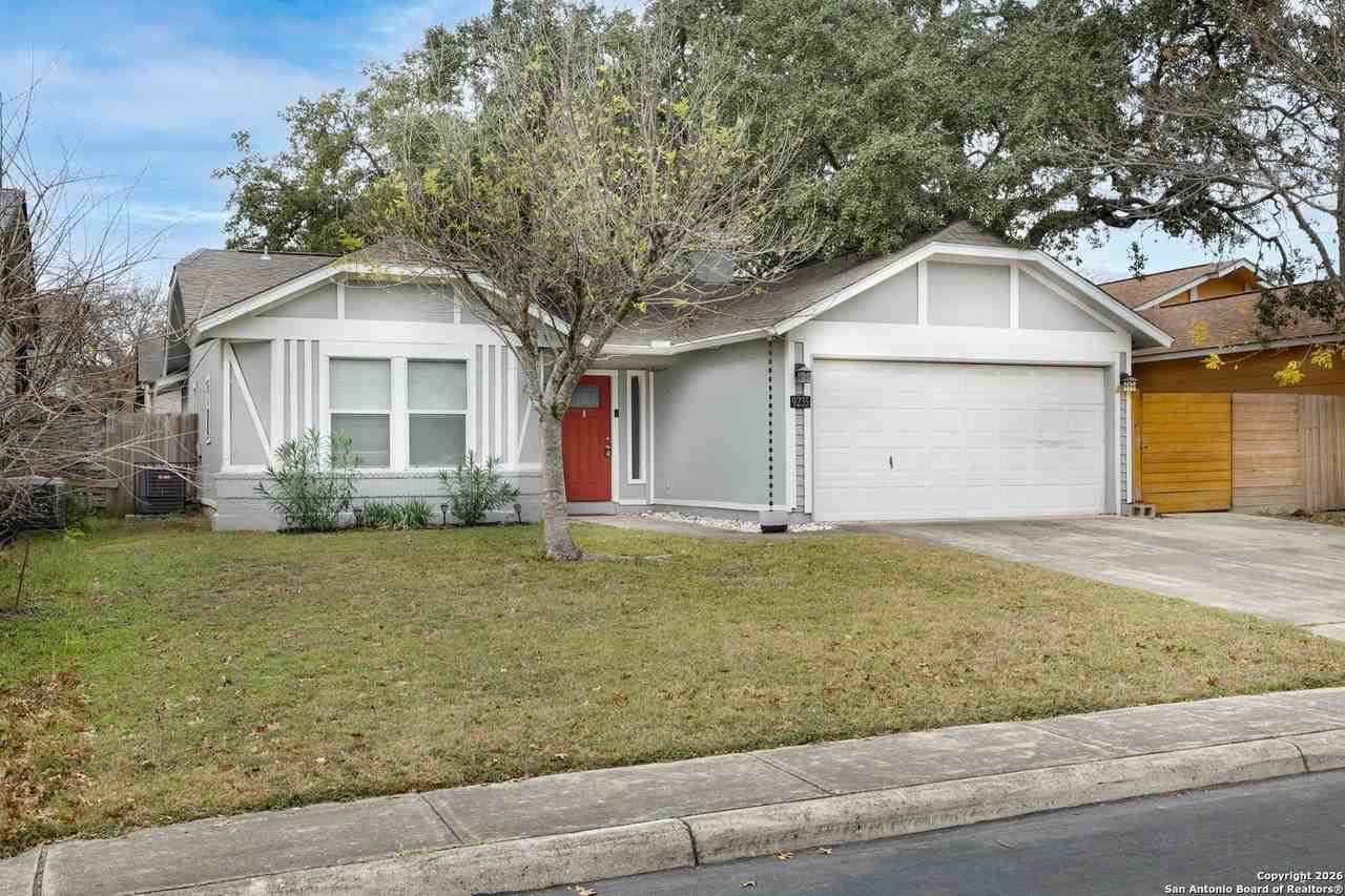 9235 Autumn Branches - Photo 2 of 36