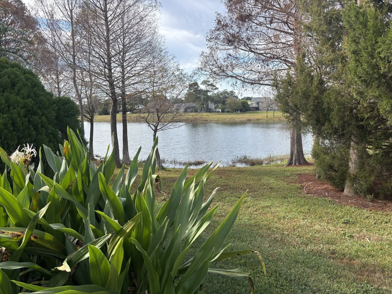 700 River Boat Cir #1 - Photo 5 of 11