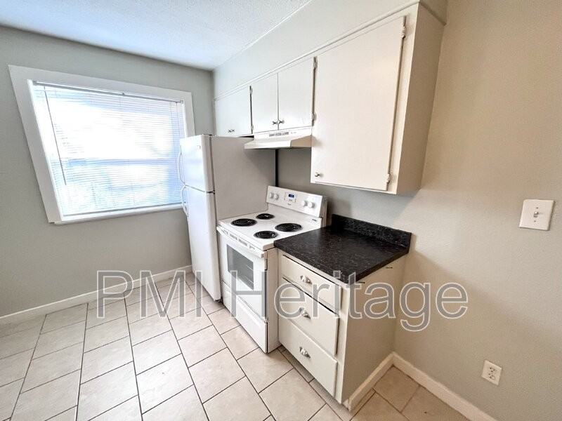 15 W Martin Luther King Jr Blvd #3 - Photo 4 of 9