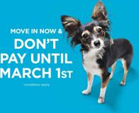 Victoria Views - Photo 1 of 1