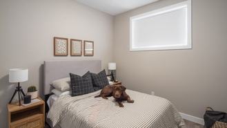 Ile des Chênes - Photo 1 of 1