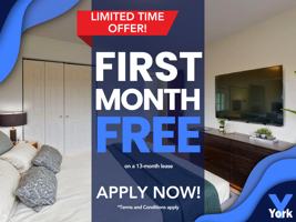 featured image of 575 University Ave W