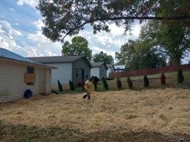 904 Drive D #904 - Photo 1 of 1