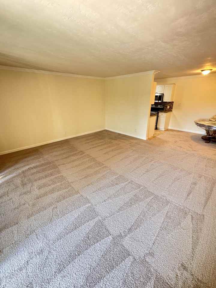 6455 La Jolla Blvd #309 - Photo 6 of 19