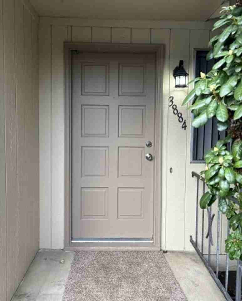 smid01* - Photo 2 of 29