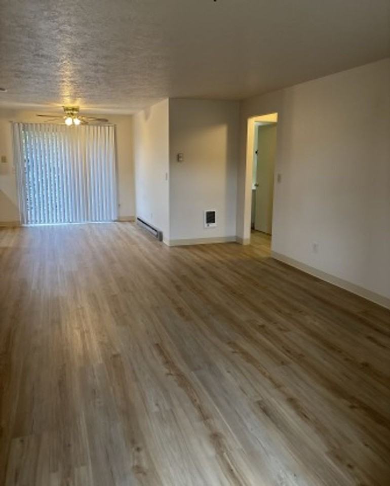 smid01* - Photo 3 of 29