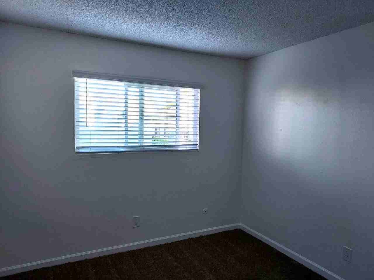 210 Quintard St - Photo 7 of 21