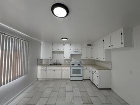 Z-Cal - Photo 1 of 1