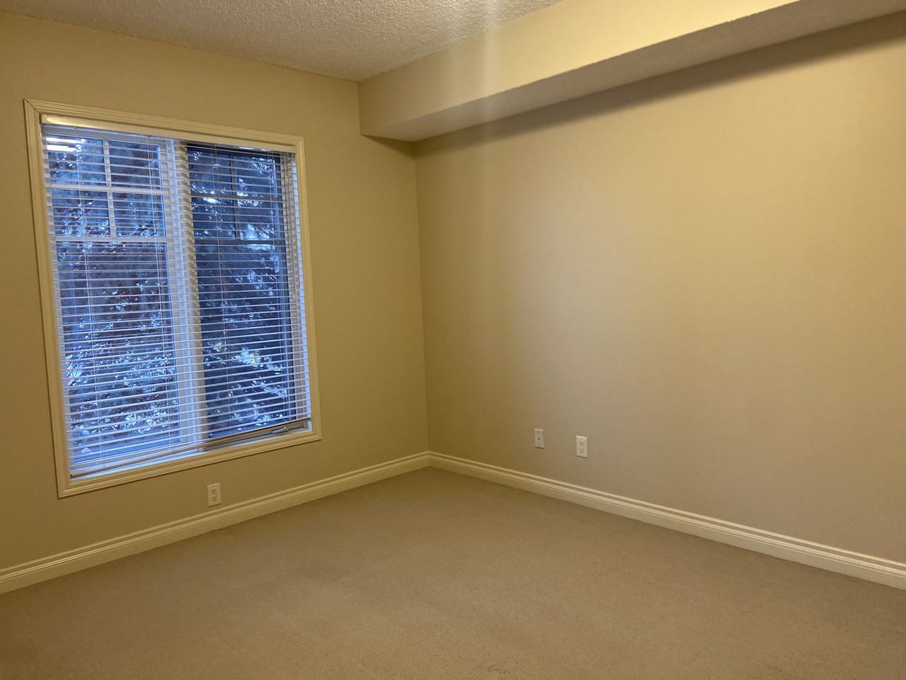 #208 9815 96A Street - Photo 7 of 16