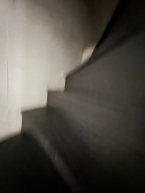 356 1/2 Apple St #1 - Photo 2 of 13