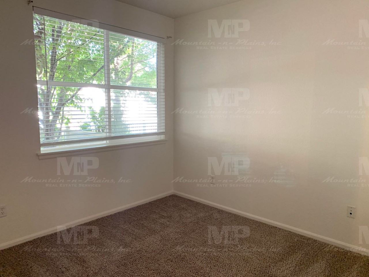 1977 Grays Peak Dr #102 - Photo 6 of 15