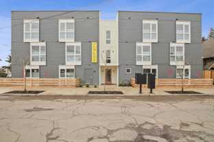 Chloe - Photo 1 of 1