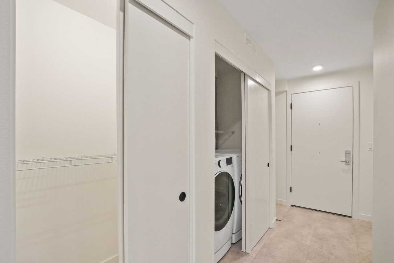 Chloe - Photo 5 of 12