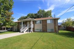 Summertree - Photo 1 of 1