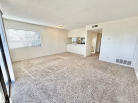 33951 Violet Lantern St #B - Photo 1 of 1