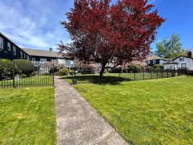 5209 E Burnside St #3 - Photo 1 of 1