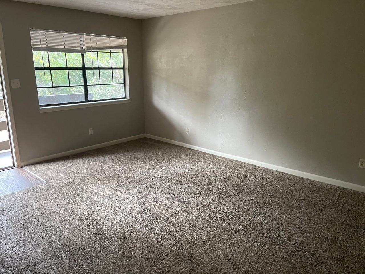 2519 Old Bainbridge Rd - Photo 2 of 8