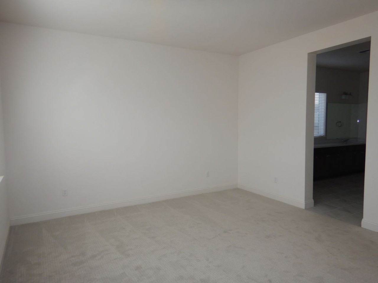 12039 Babbling Brook St - Photo 6 of 9