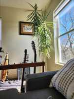 featured image of 53 Wood St