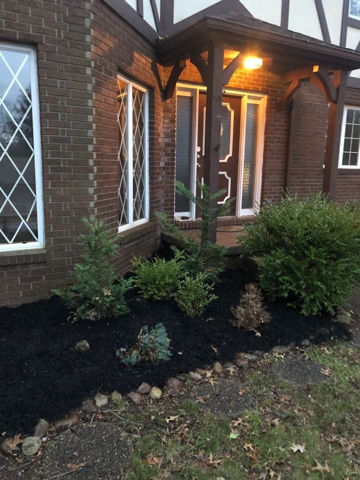 1232 Ellen Dr - Photo 3 of 29