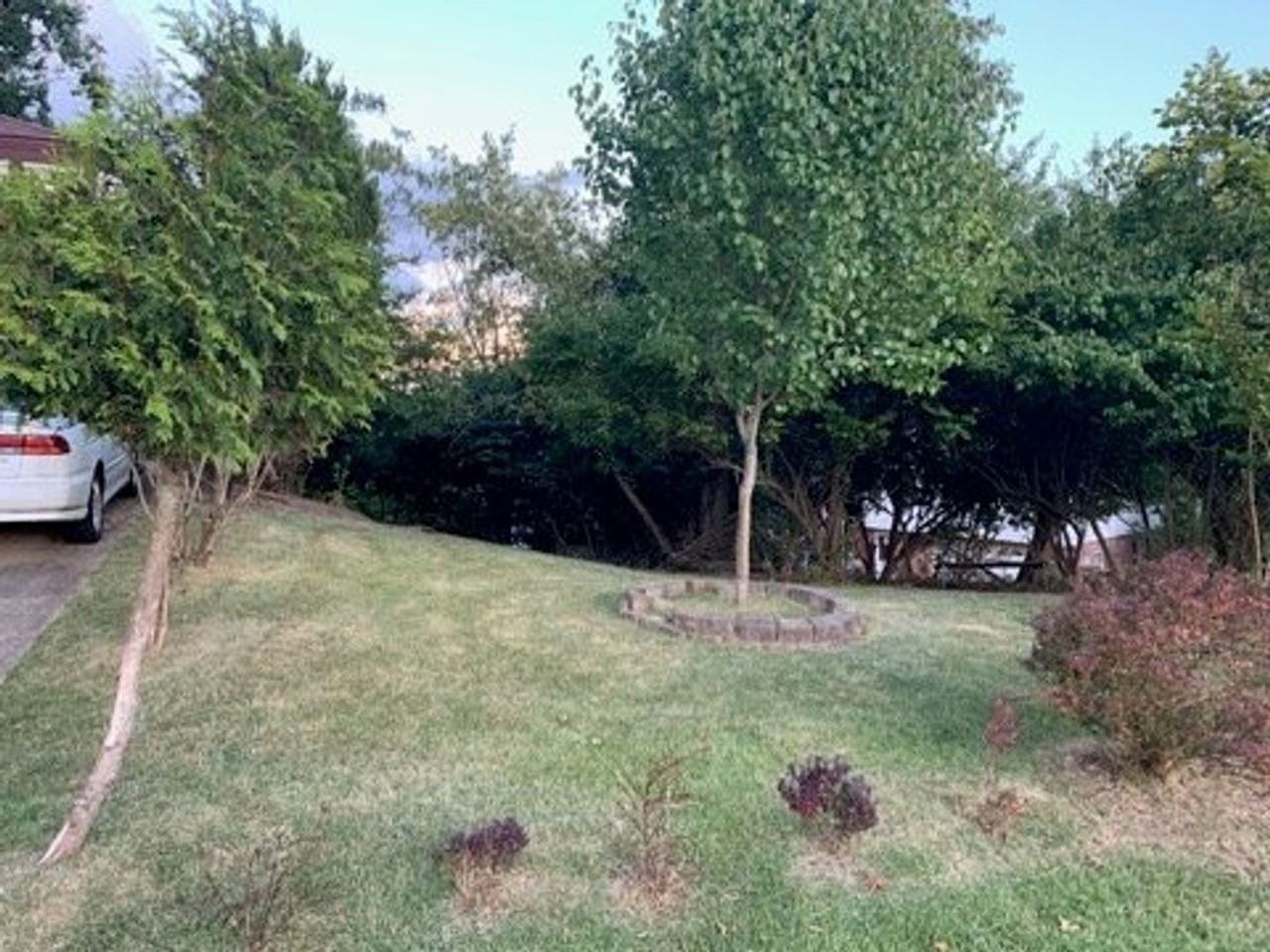 1232 Ellen Dr - Photo 4 of 29