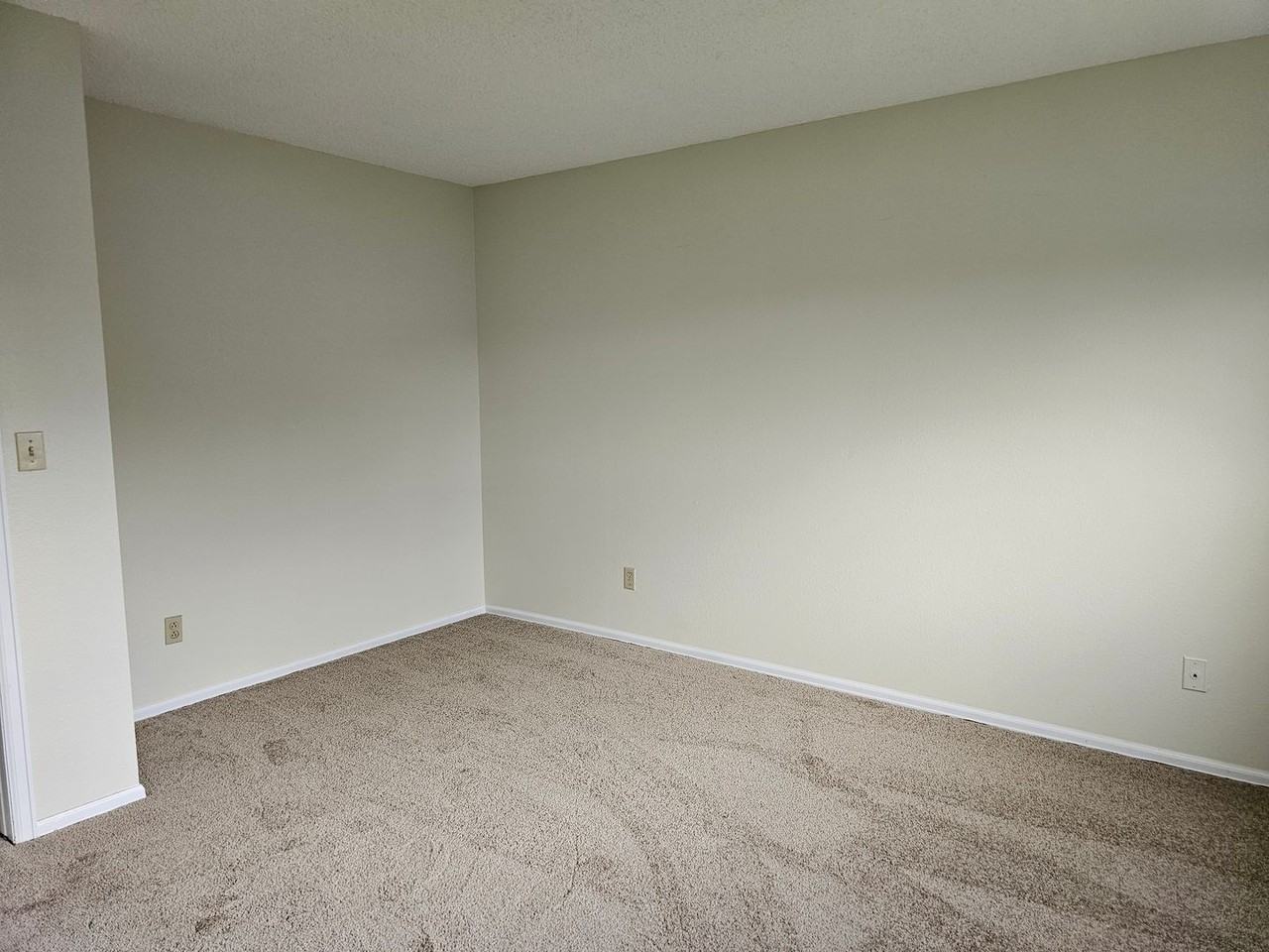 710 Snowberry Ct - Photo 6 of 21