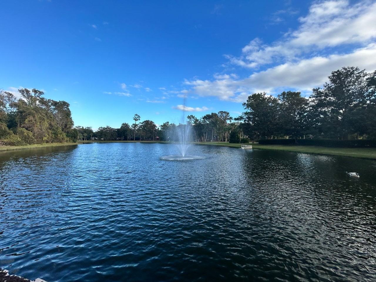 420 Summit Ridge Pl #212 - Photo 3 of 7