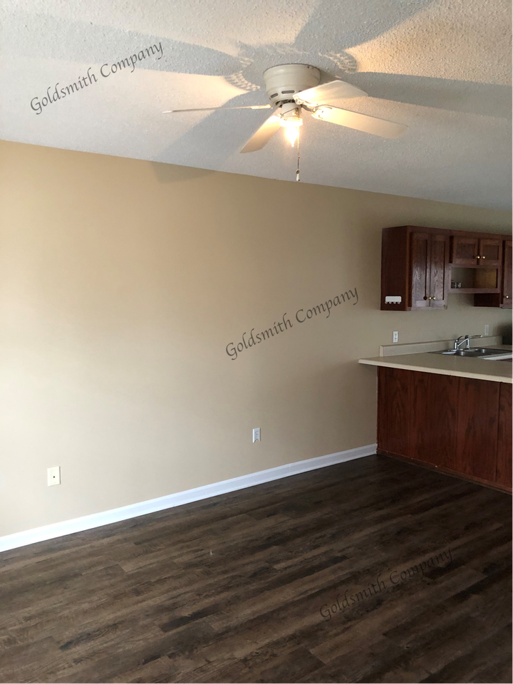 209B Springfield Cir - Photo 5 of 11