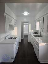 Rambling Rose - Photo 1 of 1