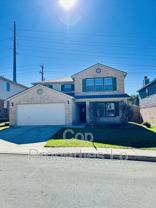 25526 Gold Yarrow - Photo 1 of 1