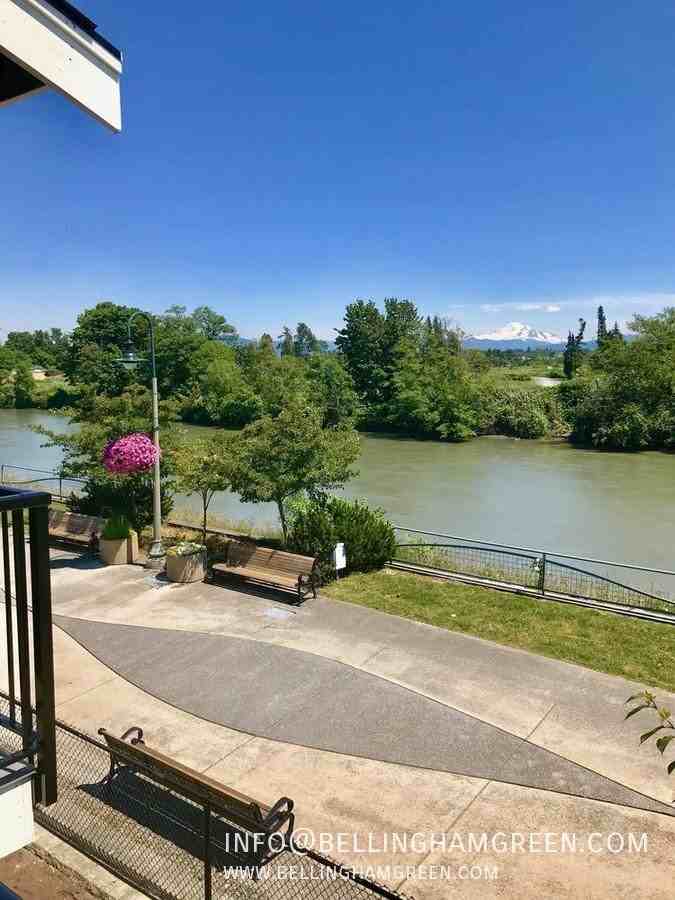 2008 Cherry St - Photo 4 of 19