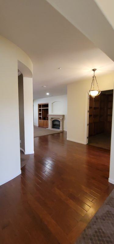 2321 Star Lilly St - Photo 3 of 19