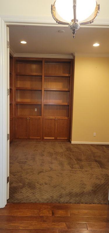 2321 Star Lilly St - Photo 5 of 19