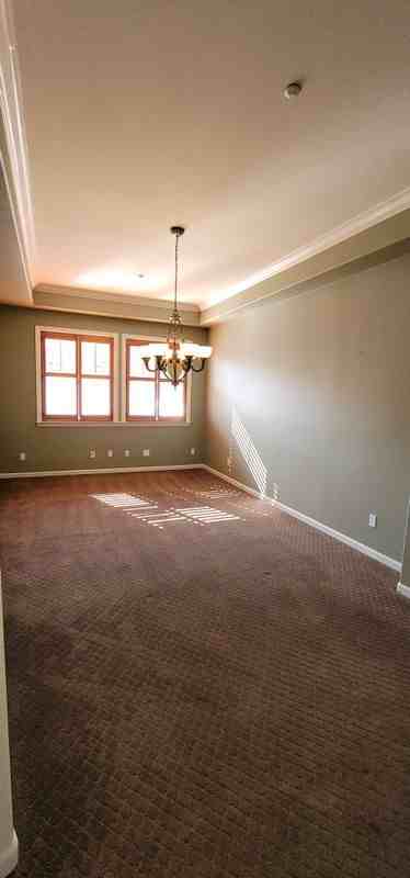 2321 Star Lilly St - Photo 7 of 19