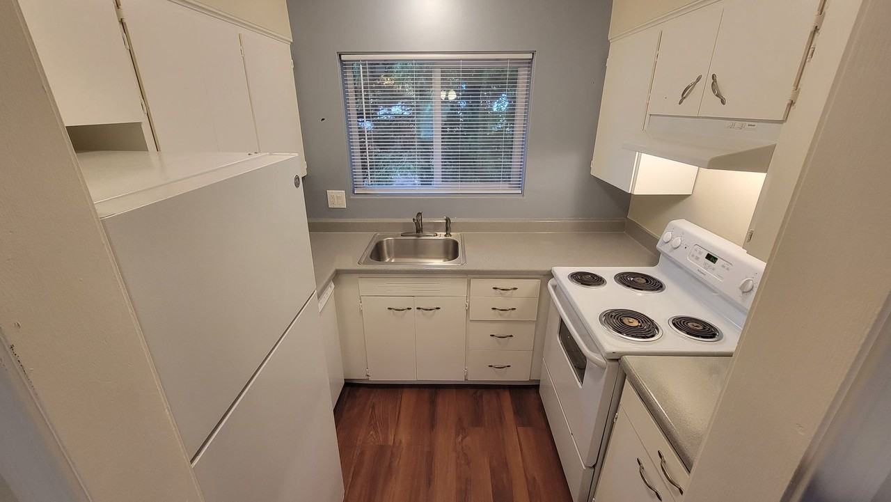 Surrounded by Oregon nature! - Photo 7 of 45